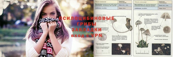 дживик Зеленокумск