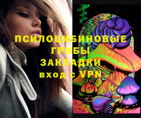 дживик Зеленокумск