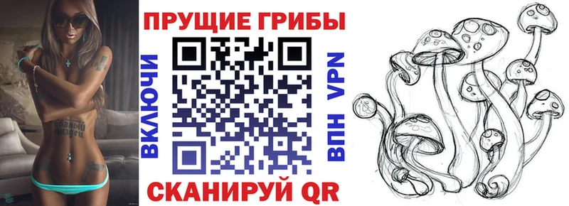 Галлюциногенные грибы Magic Shrooms  Каменногорск 
