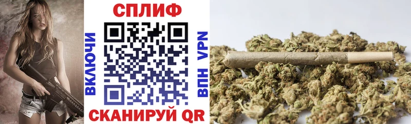 что такое наркотик Каменногорск Бошки марихуана White Widow
